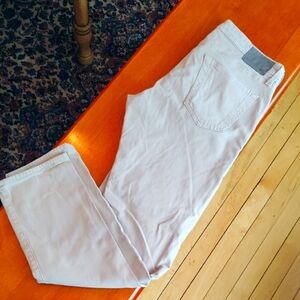 AG Tellis 5 Pocket Pants